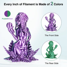 Load image into Gallery viewer, iWish3D Silk PLA 3D Printer Filament, Silk Dual Color Purple Green PLA Filament 1.75+/-0.03mm, Shiny Coextrusion PLA Filament, Color Change 3D Printing Filament 1KG/2.2lb
